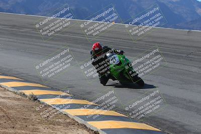 media/Feb-04-2024-SoCal Trackdays (Sun) [[91d6515b1d]]/1-Bowl (950am)/